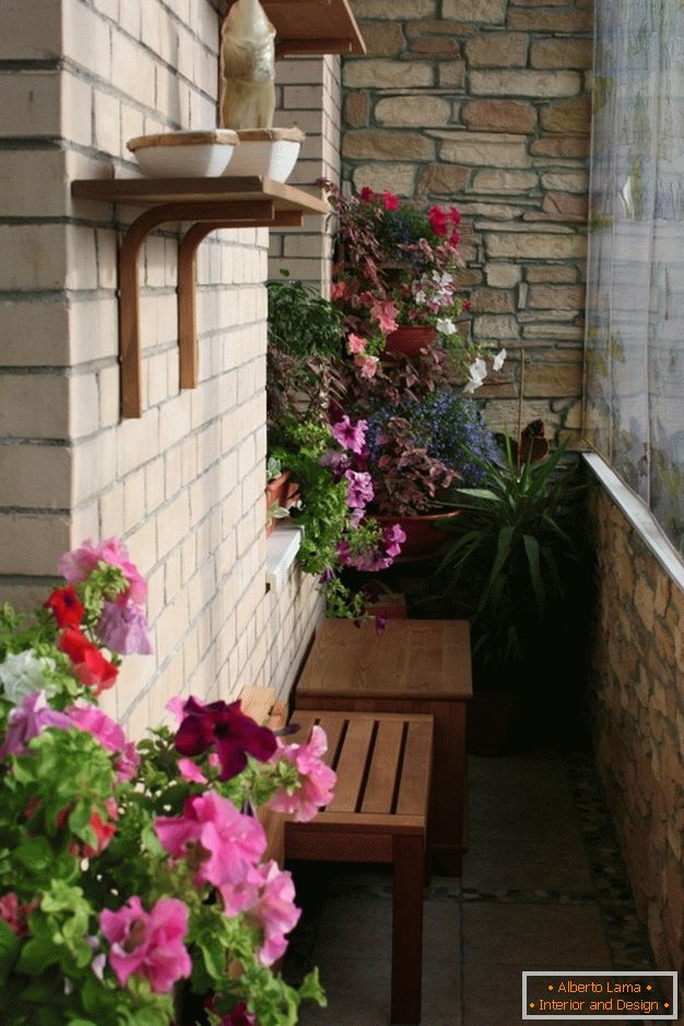 Des fleurs sur la loggia, comment les organiser?