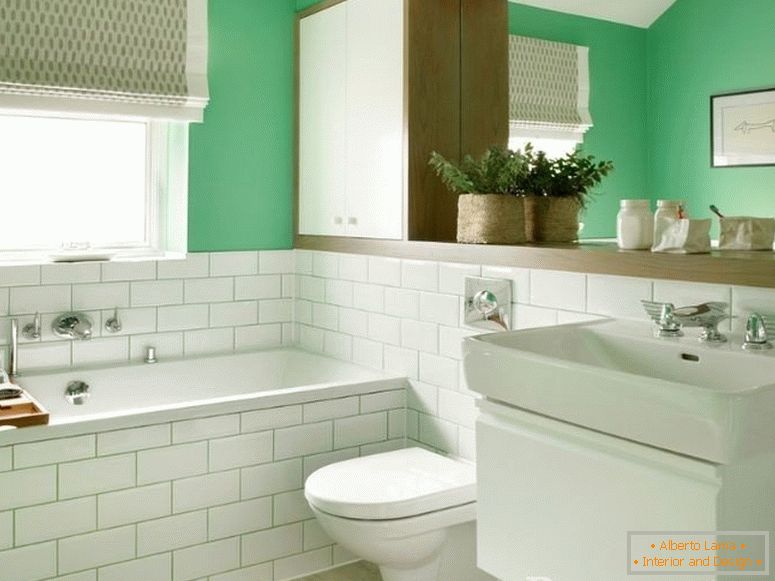 Salle de bain combinée blanc-vert