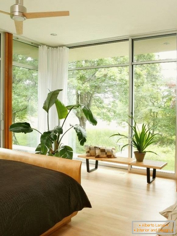 Grandes fenêtres et plantes en pot dans la chambre