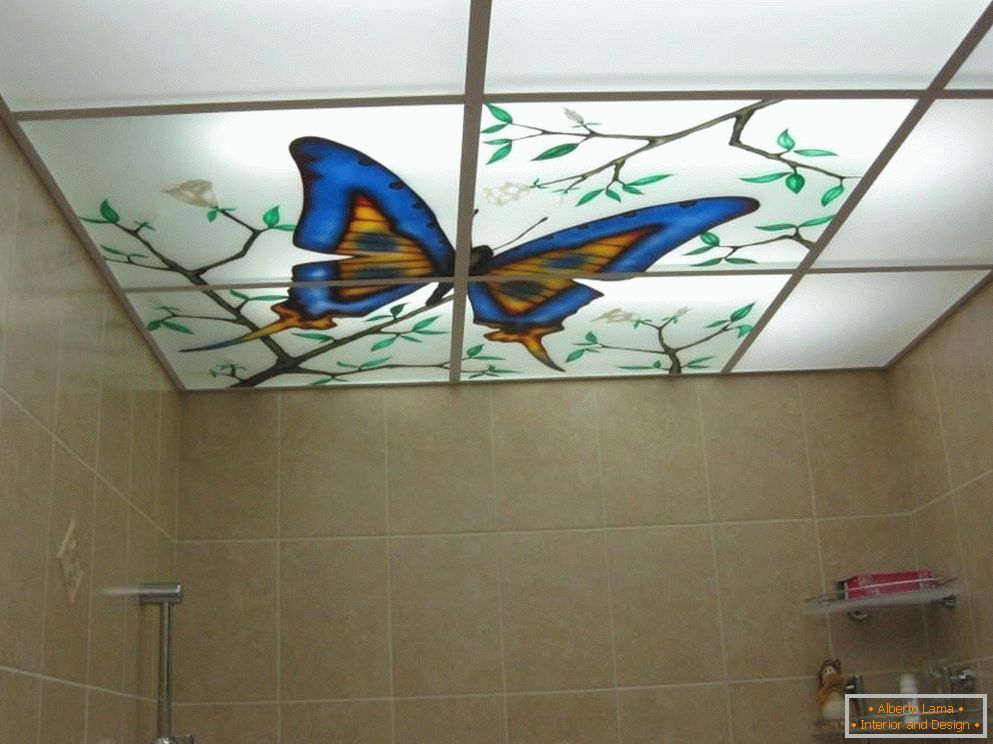 Papillon au plafond