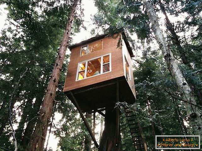 Une maison sur un arbre avec une échelle. Vue générale