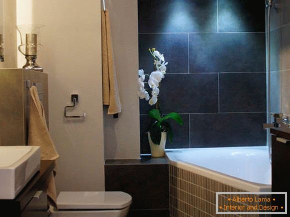 Salle de bain d'appartements élégants en Pologne