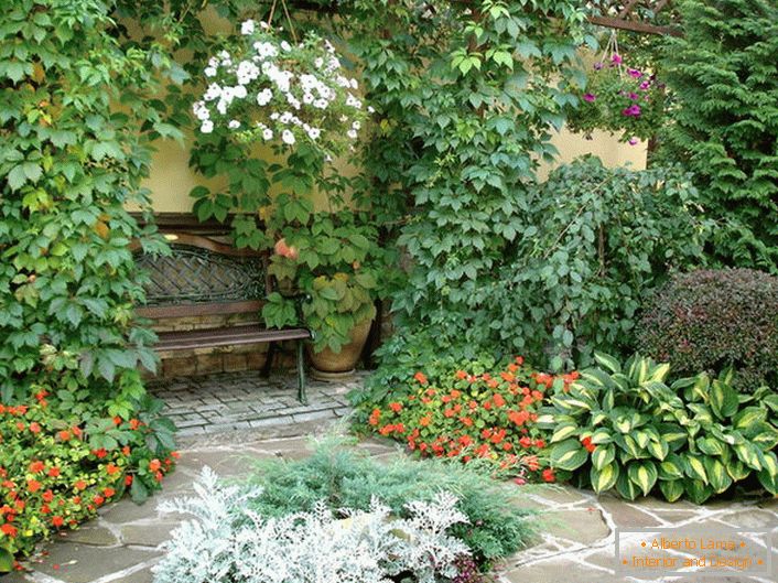 La diversité du monde végétal dans la cour indique la présence d'un style méditerranéen. Les plantes à fleurs, les raisins sauvages frisés rendent l'atmosphère romantique.