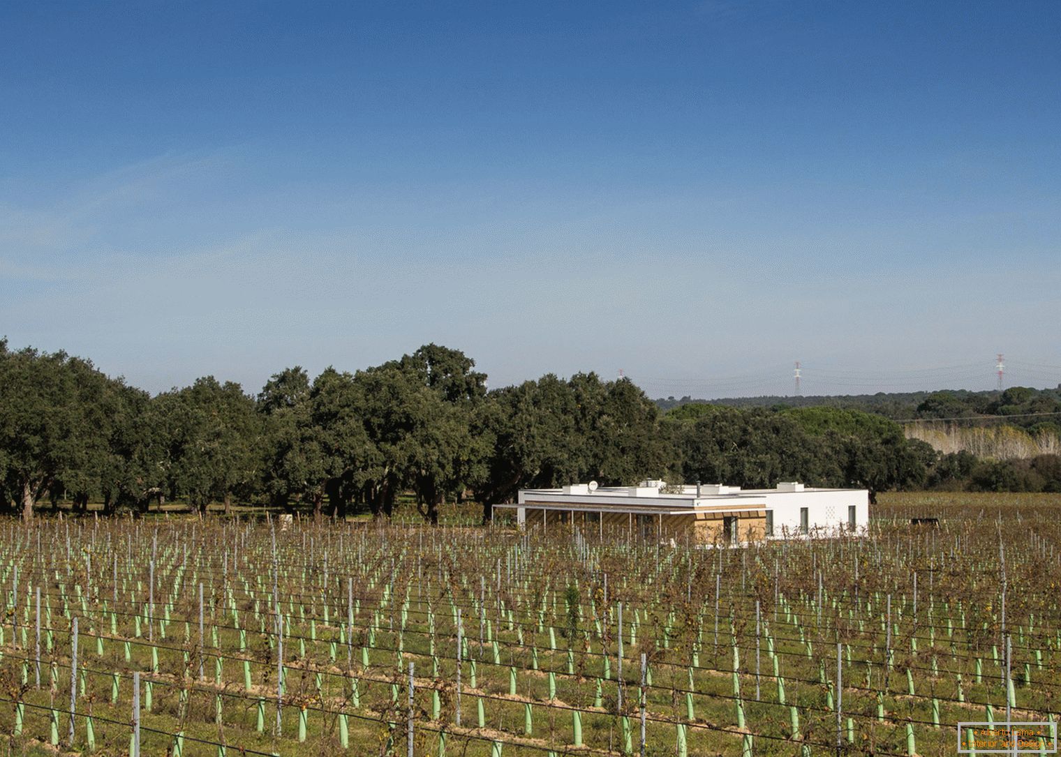 Ecohouse parmi le vignoble