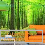 Canapé orange sur fond de forêt verte