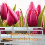Bourgeons de tulipes