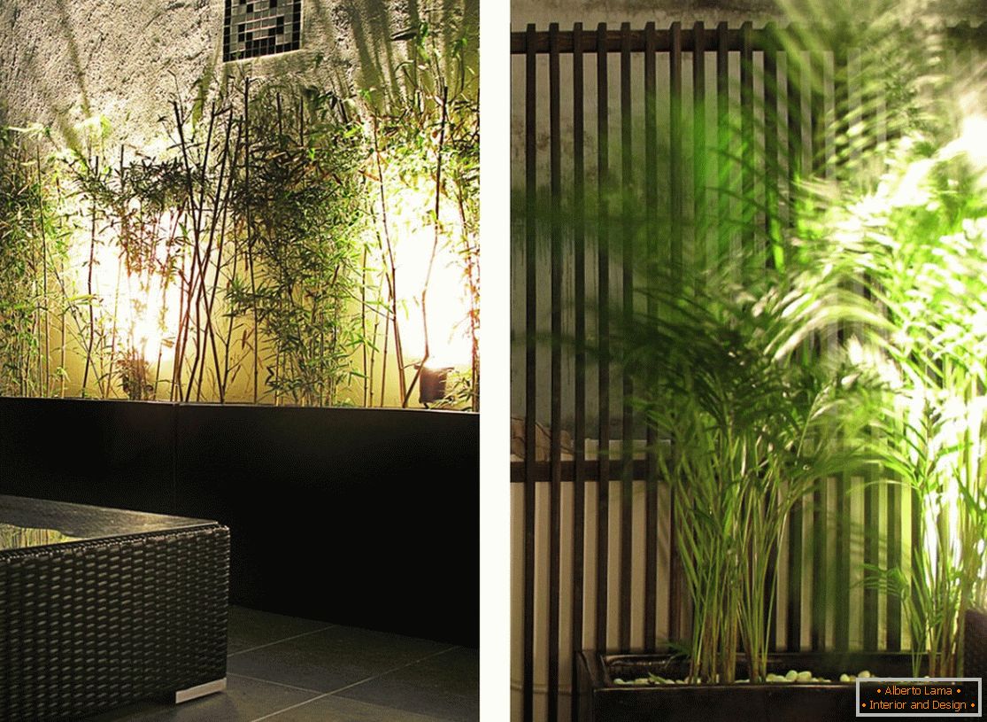 Des plantes à l'intérieur d'un appartement étroit à Hong Kong