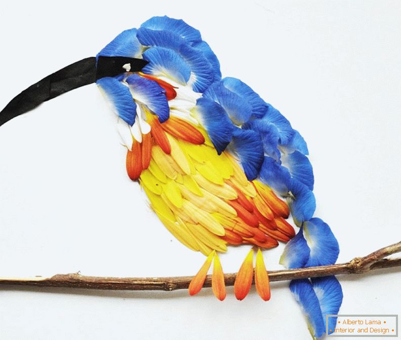 Oiseaux exotiques de pétales de fleurs, projet Hong Yi
