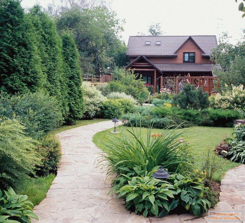 Un petit jardin dans la cour