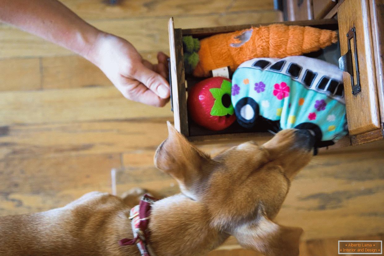 Boîte à jouets pour chiens
