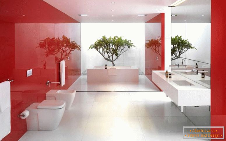salle de bains inspirante-intérieur