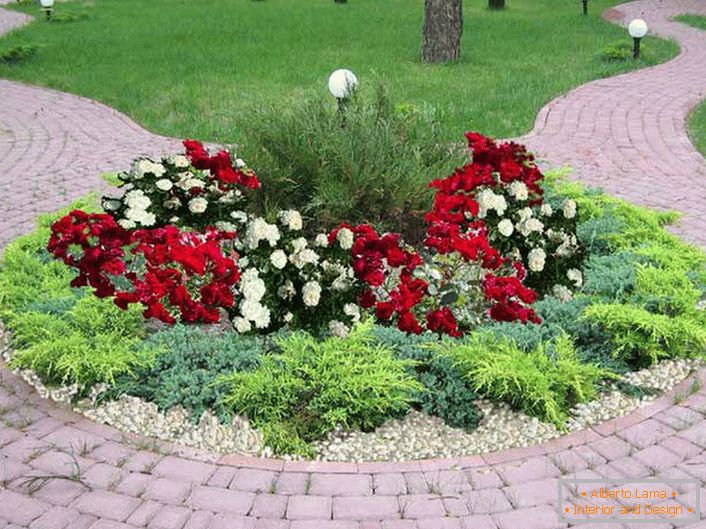 Un jardin de fleurs rond sans cadre peut paraître élégant et attrayant.