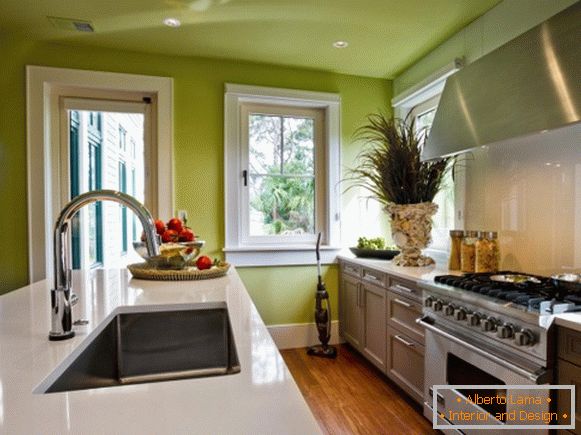 Conception de la cuisine avec murs et plafond verts