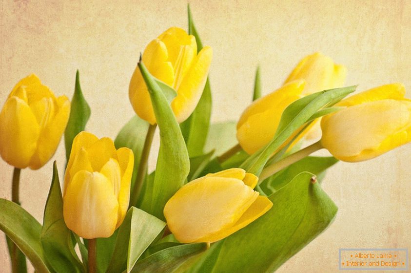 Un bouquet de tulipes jaunes