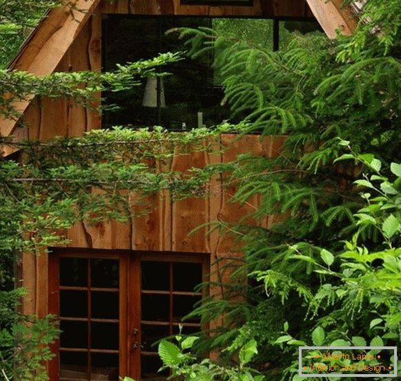 Petite maison forestière (photo), США