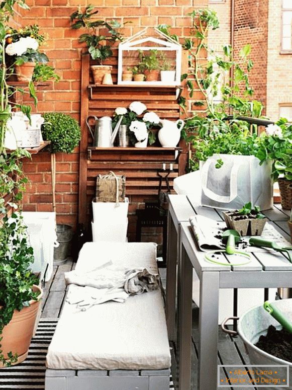 Balcon avec plantes d'intérieur