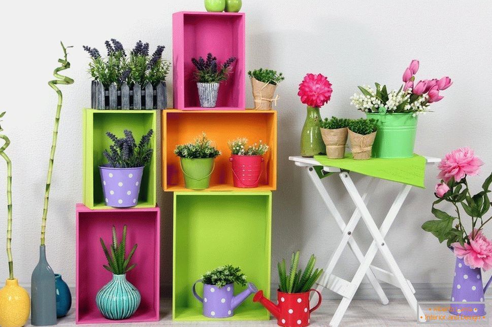 Vases pour enfants avec des plantes épicées