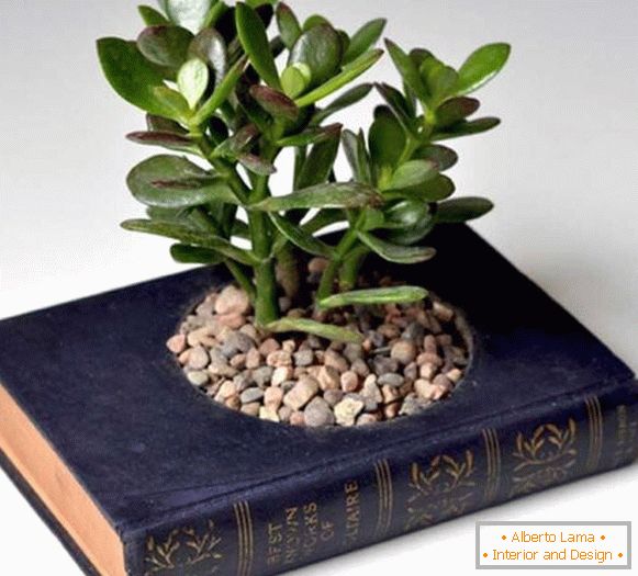 Pot de plantes du livre