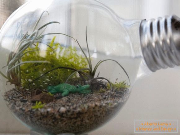 Idée pour un petit terrarium dans la maison