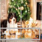 Un chien à un arbre de Noël sur un rideau