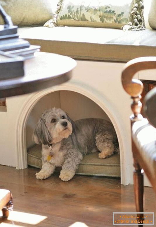 Maison confortable pour un chien dans un appartement