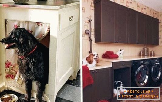 Place pour le chien dans le placard de la cuisine