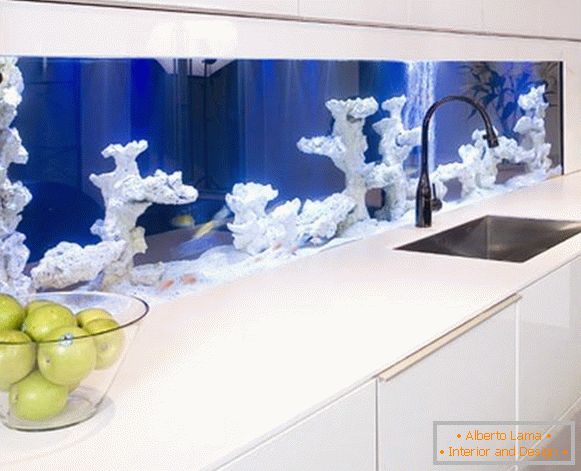 Un aquarium avec des coraux dans la cuisine