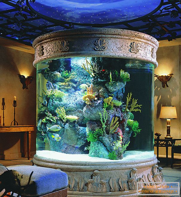 Aquarium rond dans le salon