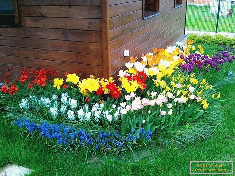 Le jardin de devant avec des fleurs lumineuses devant la maison