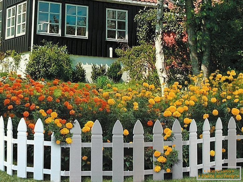 Jardin devant la maison avec clôture en plastique
