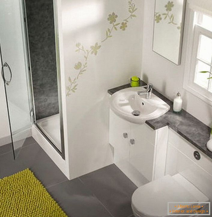 Une douche élégante dans une petite salle de bain sera une excellente alternative à un bain traditionnel. 