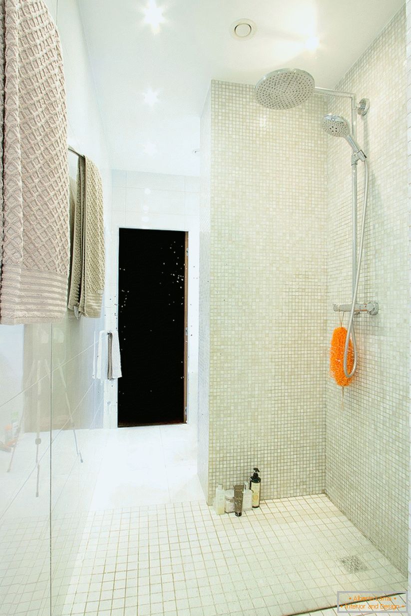 Salle de douche intérieure dans un spacieux appartement d'une pièce