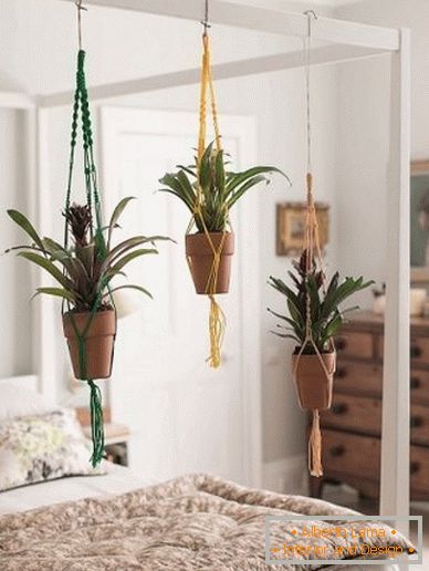 Plantes en pendentif