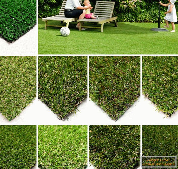 Pour donner une vue respectable des aires de loisirs sur la parcelle, vous pouvez choisir une pelouse artificielle avec différentes caractéristiques: la hauteur du pieu, la densité et la largeur, la couleur de la pelouse.
