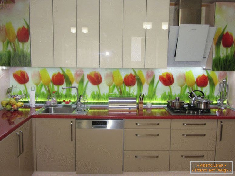 Skinali pour la cuisine: idées de photos, décoration,
