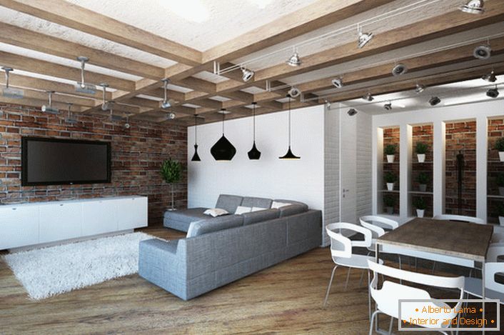 Le design du studio dans le style loft se distingue par sa praticité. Un minimum de mobilier rend la chambre spacieuse et lumineuse.