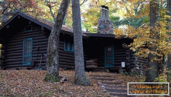 Couleur noire de la façade d'une maison en bois - photo d'un arbre brûlé