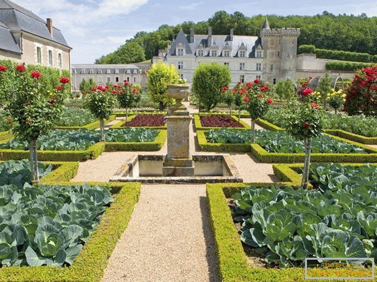 Un potager près d'une maison de luxe