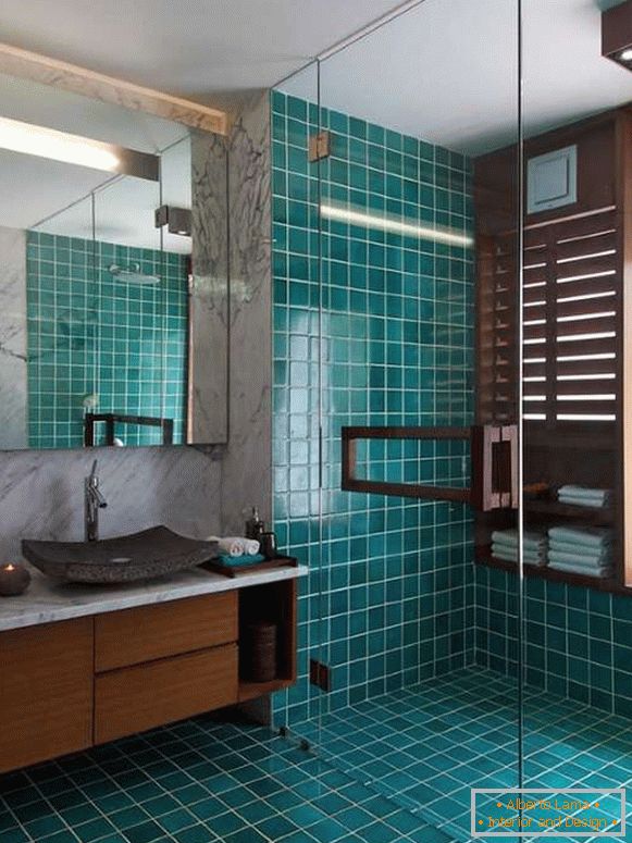 Portes de douche en verre dans le design de la salle de bain
