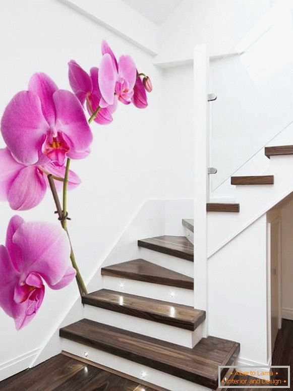 Photos d'orchidées dans les escaliers
