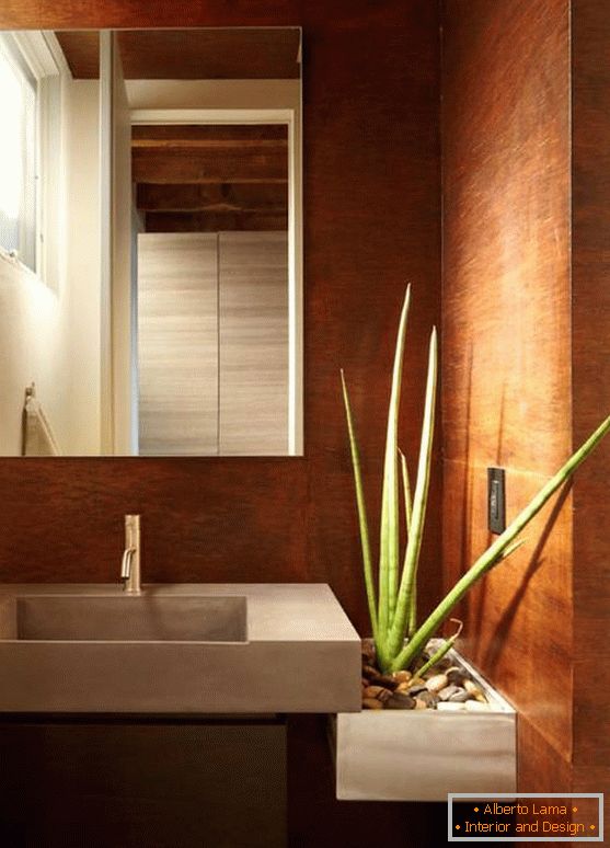 Aloe vera dans une salle de bains moderne