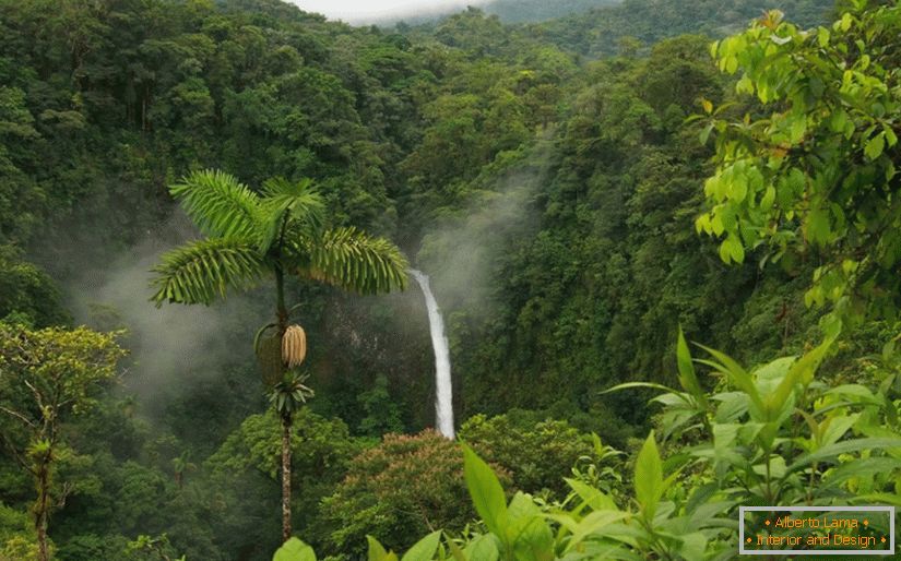 Visites libres au Costa Rica