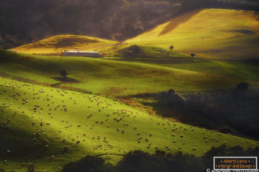 Paysages de Nouvelle-Zélande Dylan Toh